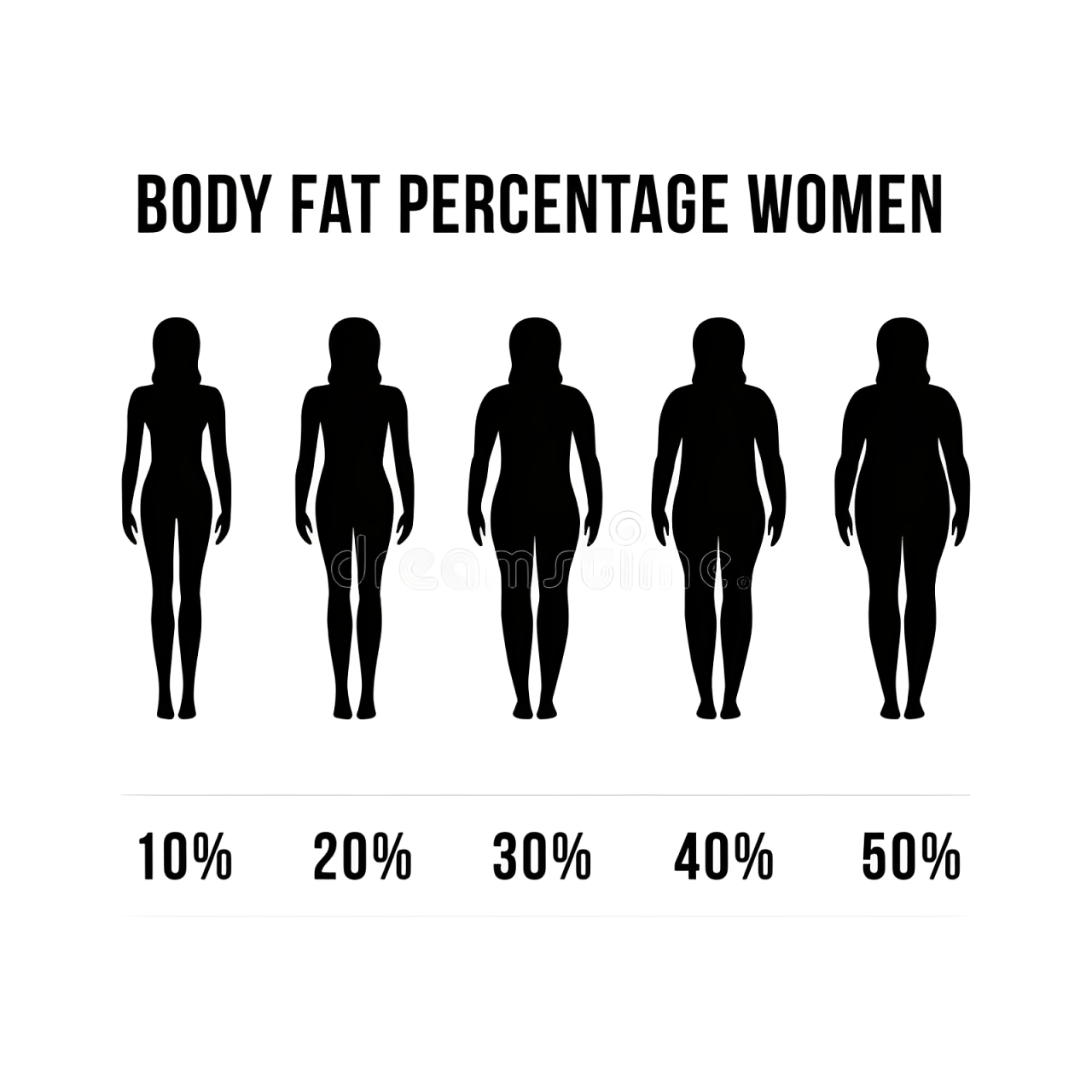 Fat to Fit Women