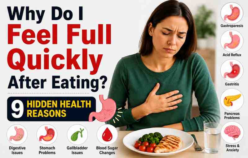 Feel Full Quickly